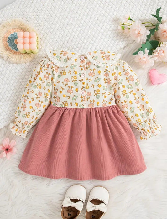 Baby Girl Cute Floral Long-Sleeve Frock