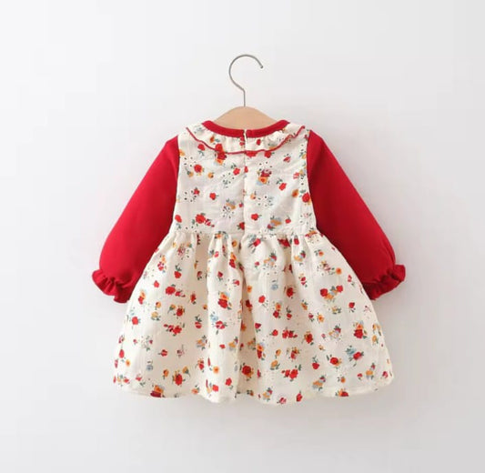 Baby Girl Red Floral Frock | Perfect for Autumn & Spring